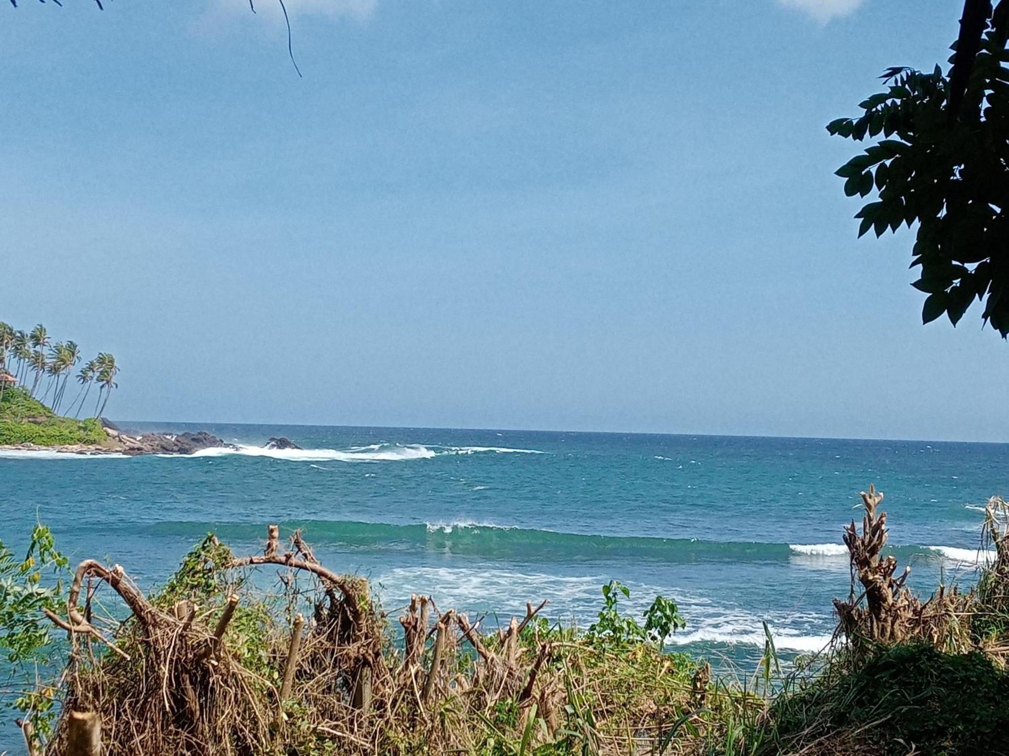 טנגלה Surf Paradise מראה חיצוני תמונה
