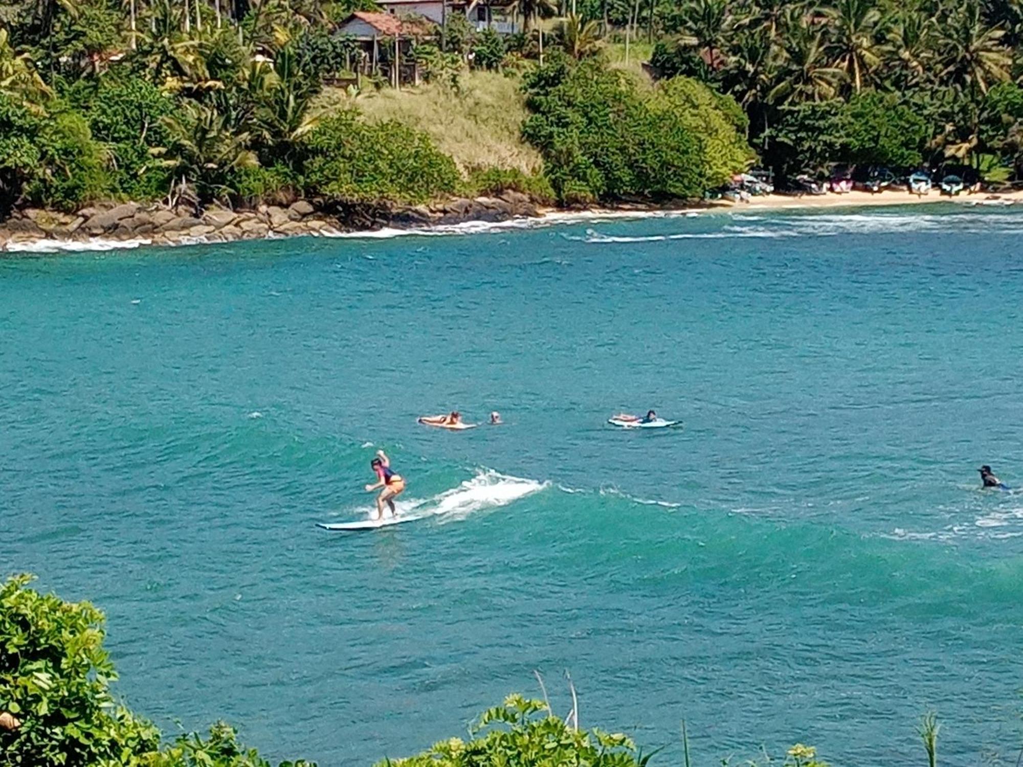 טנגלה Surf Paradise מראה חיצוני תמונה